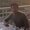 Photo of Andrew N.