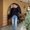 Photo of Sophia S.