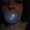 Photo of Danielle V.