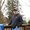 Photo of Randy C.