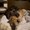 Photo of Cathrine F.