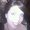 Photo of Jacki S.