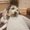 Photo of Kat T.