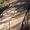 Photo of Sue B.