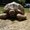 Photo of Rohini R.