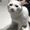 Photo of Jeimmy L.