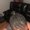 Photo of Lashandra S.