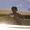 Photo of Freddie A.