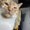 Photo of Mauricio M.