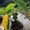 Photo of Khai S.