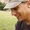 Photo of Qype User (chikid…)