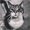 Photo of Luni H.
