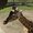 Photo of Qype User (JMF7…)