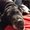 Photo of Belle The Dog W.
