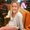 Photo of Lisa C.