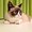 Photo of Kat J.