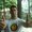 Photo of Ian S.