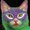 Photo of Cat A.