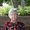 Photo of Diane S.