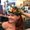 Photo of Tammy D.