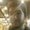 Photo of Justin S.