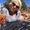 Photo of Lisa S.