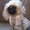 Photo of Luccy P.