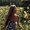 Photo of Evie H.