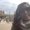 Photo of Alejandra A.