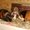 Photo of Qype User (Tine2…)