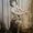 Photo of Juanita L.
