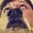 Photo of Zeth N.
