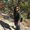Photo of Lakshmi S.
