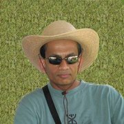 google avatar