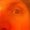 Photo of Brandon M.