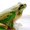 Photo of Qype User (Privat…)