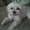 Photo of Bella L.