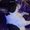 Photo of Cat S.