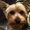 Photo of Rocky Z.