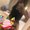 Photo of Gogu S.