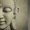Photo of Sarah J.