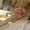 Photo of Wanda F.