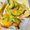 Photo of Honeynana H.
