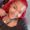 Photo of Samantha L.