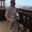 Photo of Rob B.