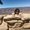 Photo of Michelle S.