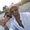 Photo of Parag P.