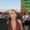 Photo of Lauryn C.