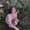Photo of Tatiana G.