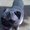 Photo of Gonza A.